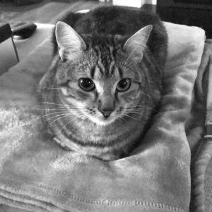 Meet your Posher, Adelene